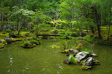 Pond in the moss garden of Saiho-ji temple, UNESCO World Heritage Site, Kyoto, Japan, Asia