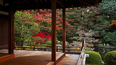 Zuishin-in temple in autumn, Kyoto, Japan, Asia