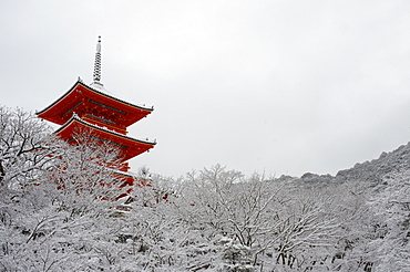 Kiyomizu-dera Temple's pagoda hiding behind snow-covered trees, UNESCO World Heritage Site, Kyoto, Japan, Asia