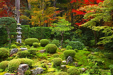 Zen garden in autumn, Sanzen-in Temple, Kyoto, Japan, Asia