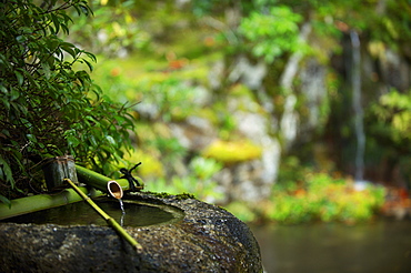 Traditional tsukubai water basin, Jikko-in Temple, Kyoto, Japan, Asia