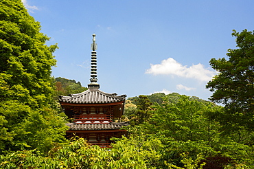 Mimuroto-ji temple pagoda, Kyoto, Japan, Asia