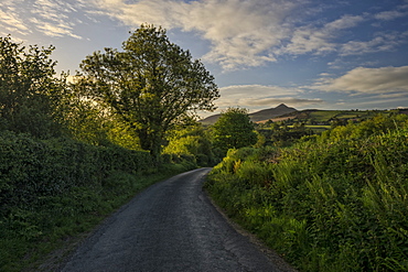 Sugarloaf Mountain, County Wicklow, Leinster, Republic of Ireland, Europe