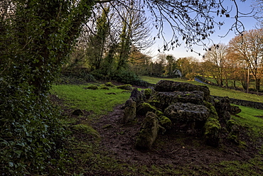 Lough Gur, Giant's Grave, County Limerick, Munster, Republic of Ireland, Europe