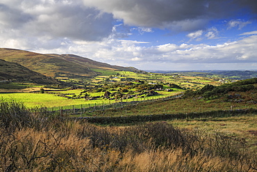 Cooley Mountains, County Louth, Leinster, Republic of Ireland, Europe