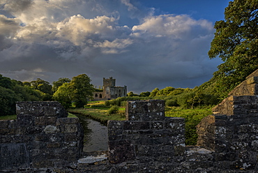 Tintern Abbey, County Wexford, Leinster, Republic of Ireland, Europe