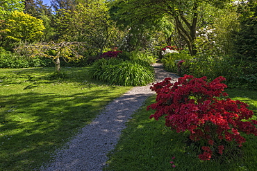 Mount Usher Gardens, County Wicklow, Leinster, Republic of Ireland, Europe