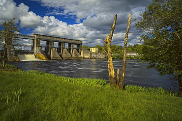 Parteen Weir, County Clare, Munster, Republic of Ireland, Europe