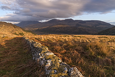 Crinnagh, The Old Kenmare Road, Killarney National Park, County Kerry, Munster, Republic of Ireland, Europe