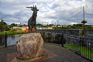 King Puck, Killorglin, County Kerry, Munster, Republic of Ireland, Europe