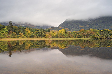 Muckross Lake, Killatney National Park, County Kerry, Munster, Republic of Ireland, Europe