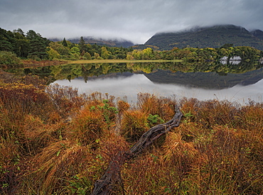 Muckross Lake, Killatney National Park, County Kerry, Munster, Republic of Ireland, Europe