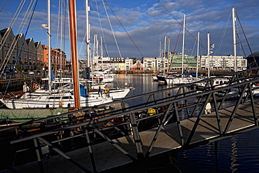 Galway Marina, Galway Docks, County Galway, Connacht, Republic of Ireland, Europe