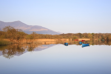 Lough Leane, Ross Bay, Killarney National Park, County Kerry, Munster, Republic of Ireland, Europe