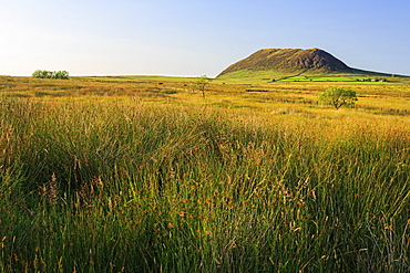 Slemish Mountain, County Antrim, Ulster, Northern Ireland, United Kingdom, Europe