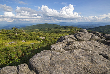 View from one of the many rocky summits of Grayson Highlands State Park, Virginia, United States of America, North America