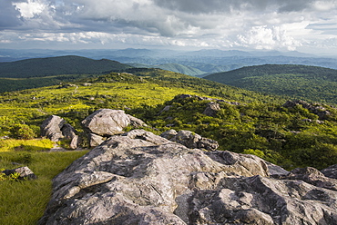 View of Appalachian Mountains from Grayson Highlands, Virginia, United States of America, North America