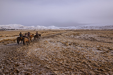 Icelandic horseback riders, Hveragerdi, Iceland, Polar Regions