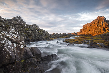 A river flows from the Oxarafoss waterfall at sunrise in Thingvellir National Park, UNESCO World Heritage Site, Iceland, Polar Regions