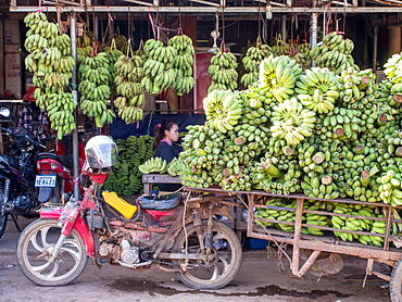 Motorbike cart carrying a heavy load of bananas, Siem Reap, Cambodia, Indochina, Southeast Asia, Asia