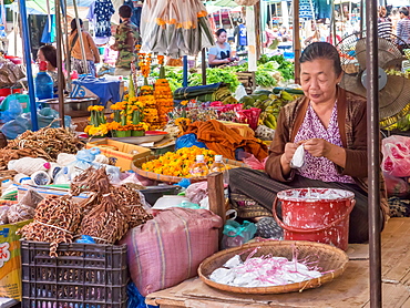 Vendor in central outdoor market, Luang Prabang, Laos, Indochina, Southeast Asia, Asia