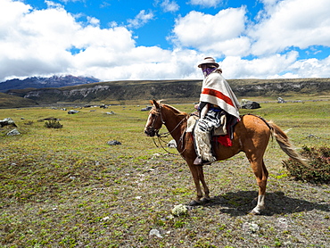 Indigenous man on a horse in high paramo landscape, Cotopaxi National Park, Andes mountains, Ecuador, South America