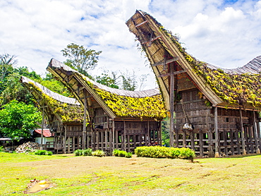 Tradional houses (tongkanon), Tana Toraja, Sulawesi, Indonesia, Southeast Asia, Asia