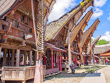 Row of traditional houses (tongkanon), Tana Toraja, Sulawesi, Indonesia, Southeast Asia, Asia