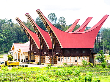 A set of brand new tongkanon, in the traditional shape, Tana Toraja, Sulawesi, Indonesia, Southeast Asia, Asia