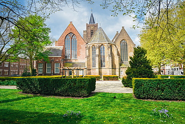 Grote of Sint Janskerk, Schiedam, The Netherlands, Europe