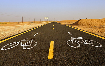 Al Qudra cycling path near Dubai, United Arab Emirates, Middle East