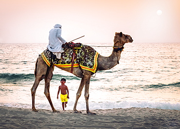 Boy stares in amazement at Arabic man wearing a thawb riding a camel on a beach, Dubai, United Arab Emirates, Middle East