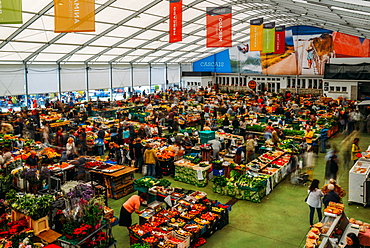 The Cascais Market for fresh local fish, fruit, vegetables, cakes and flowers, Cascais, Portugal, Europe