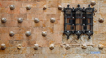 Facade to 16th-century Gothic palace covered in symbolic seashell motifs, now an exhibition space and library, Salamanca, Castilla y Leon, Spain, europe