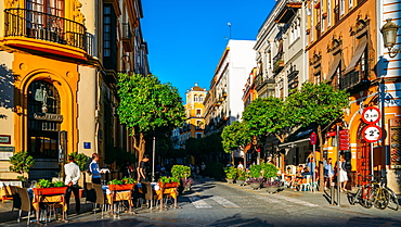 Calle Mateos Gago, a busy street with bars and restaurants in the historic centre of Seville, Andalusia, Spain, Europe