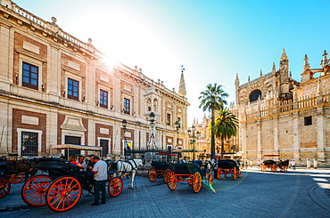 Horse-drawn carriages for hire on Plaza del Triunfo, Seville, Andalusia, Spain, Europe