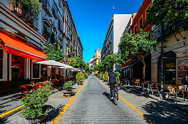 Calle Mateos Gago, a busy street with bars and restaurants in the historic centre of Seville, Andalusia, Spain, Europe