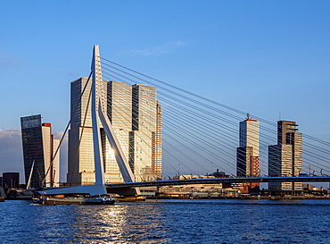 Erasmus Bridge, Rotterdam, South Holland, The Netherlands, Europe