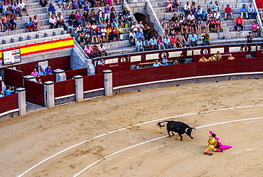 Bullfighting, Novillada Picada on the Bullring, Plaza de Toros de Las Ventas, Madrid, Spain, Europe