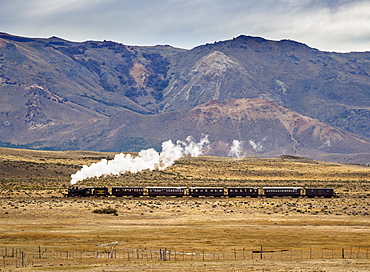 Old Patagonian Express La Trochita, steam train, Chubut Province, Patagonia, Argentina, South America