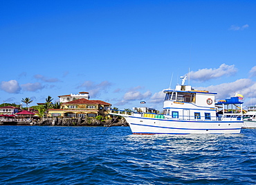 Boat in Puerto Ayora, Santa Cruz (Indefatigable) Island, Galapagos, UNESCO World Heritage Site, Ecuador, South America