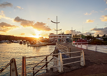 Port in Puerto Ayora at sunset, Santa Cruz (Indefatigable) Island, Galapagos, UNESCO World Heritage Site, Ecuador, South America