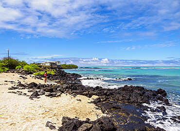 Charles Darwin Station Beach, Playa de la Estacion, Puerto Ayora, Santa Cruz (Indefatigable) Island, Galapagos, UNESCO World Heritage Site, Ecuador, South America