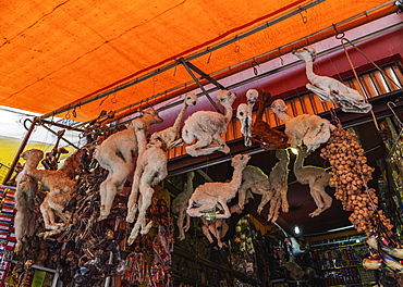 Witches Market, La Paz, Bolivia, South America