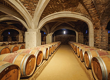 Wine cellar, Santa Rita Winery, Alto Jahuel, Buin, Santiago Metropolitan Region, Chile, South America