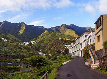 Taganana, Anaga, Tenerife Island, Canary Islands, Spain, Europe