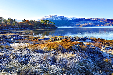 Winter view on a frosty sunny morning along the banks of Loch Sunart in the Ardnamurchan Peninsula, the Scottish Highlands, Scotland, United Kingdom, Europe