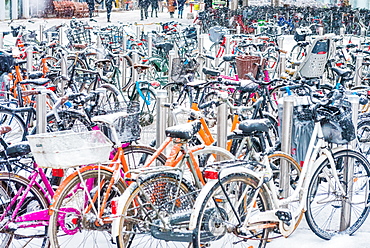 Snow covered bicycles, Copenhagen, Denmark, Scandinavia, Europe