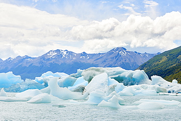 Blocks of ice float in one of the affluents of Lago Argentino, next to Perito Moreno Glacier, and wash ashore before they melt, Los Glaciares National Park, UNESCO World Heritage Site, Patagonia, Argentina, South America