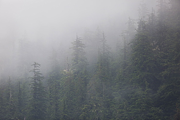 Chugach National Forest, Alaska, United States of America, North America